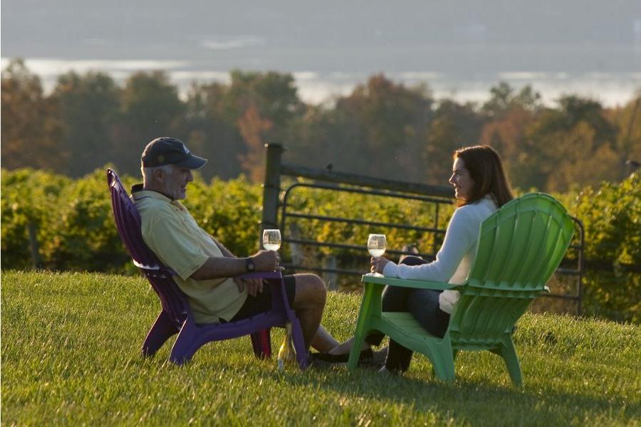 一个男人和一个女人坐在阿迪朗达克椅子上，端着一杯葡萄酒，沿着葡萄园的树篱.